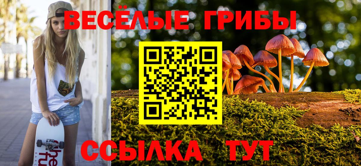 Галлюциногенные грибы ЛСД  Галлюциногенные грибы Magic Shrooms  Карпинск  Вход с VPN 