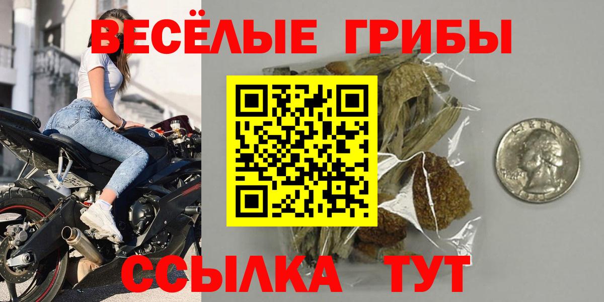 Псилоцибиновые грибы мухоморы Карпинск